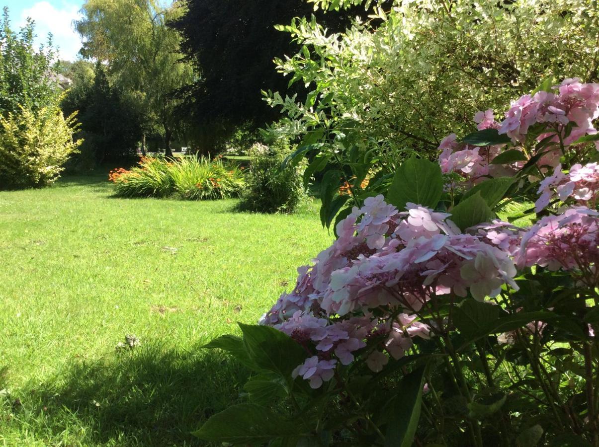 Au Fil Du Crembreux Bed & Breakfast Marquise Exterior foto